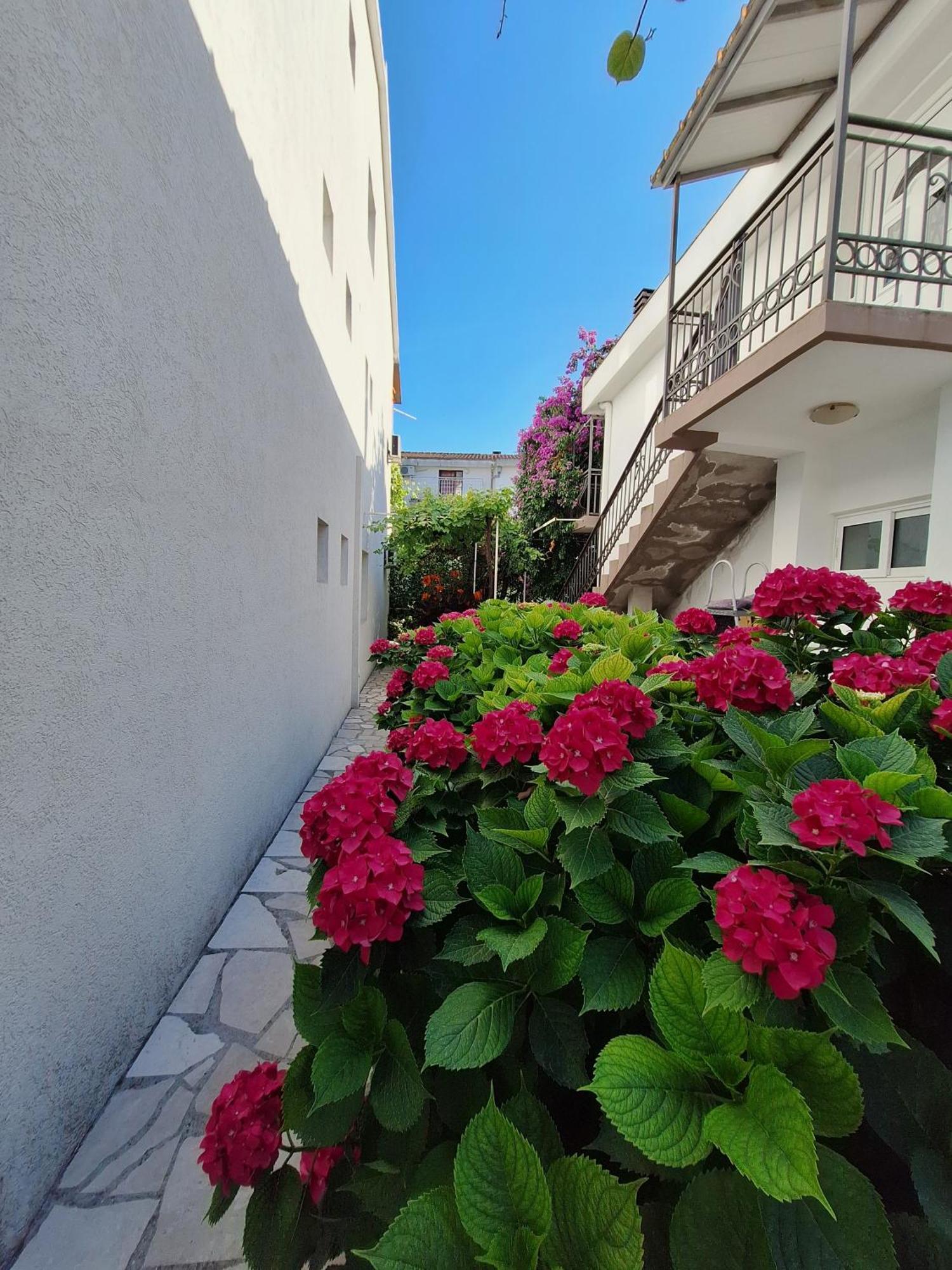 Apartmani Hortenzija Budva Ngoại thất bức ảnh