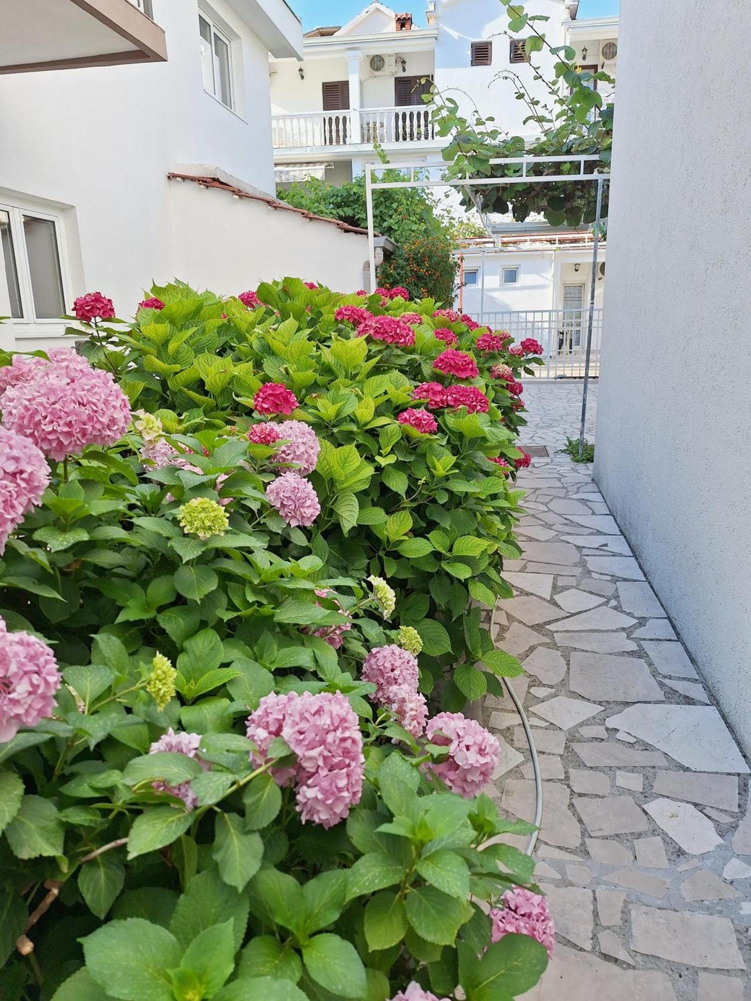 Apartmani Hortenzija Budva Ngoại thất bức ảnh