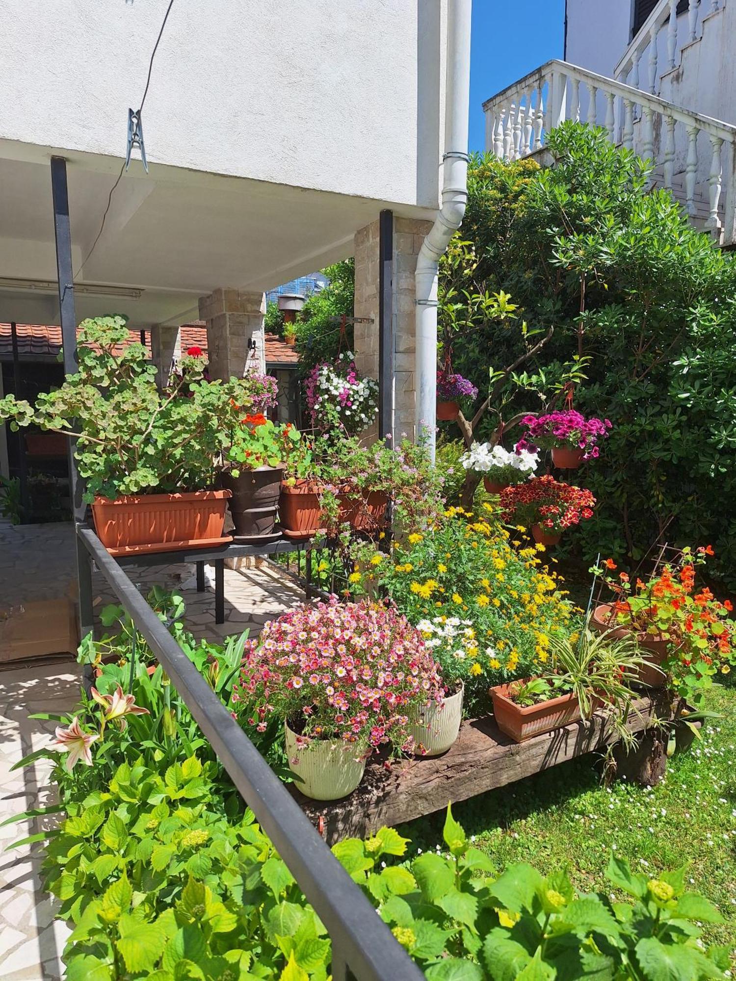 Apartmani Hortenzija Budva Ngoại thất bức ảnh