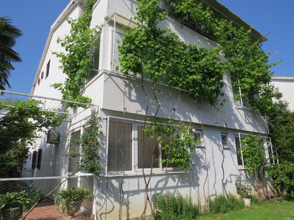 Apartmani Hortenzija Budva Ngoại thất bức ảnh